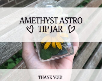 Amethyst Astrology Tip Jar - Thank you!!