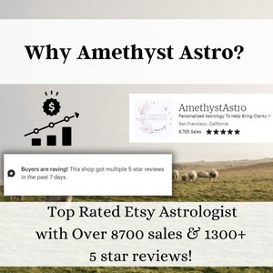 Astrology Spiritual Guidance Birth Chart Reading Bundle, Past Lives, Personalized Birthday Gift image 6