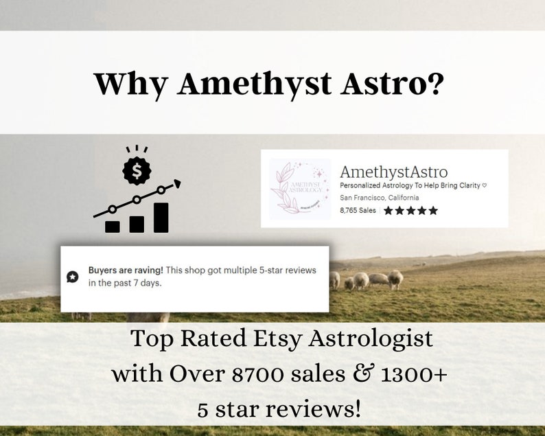 Astrology Spiritual Guidance Birth Chart Reading Bundle, Past Lives, Personalized Birthday Gift image 6