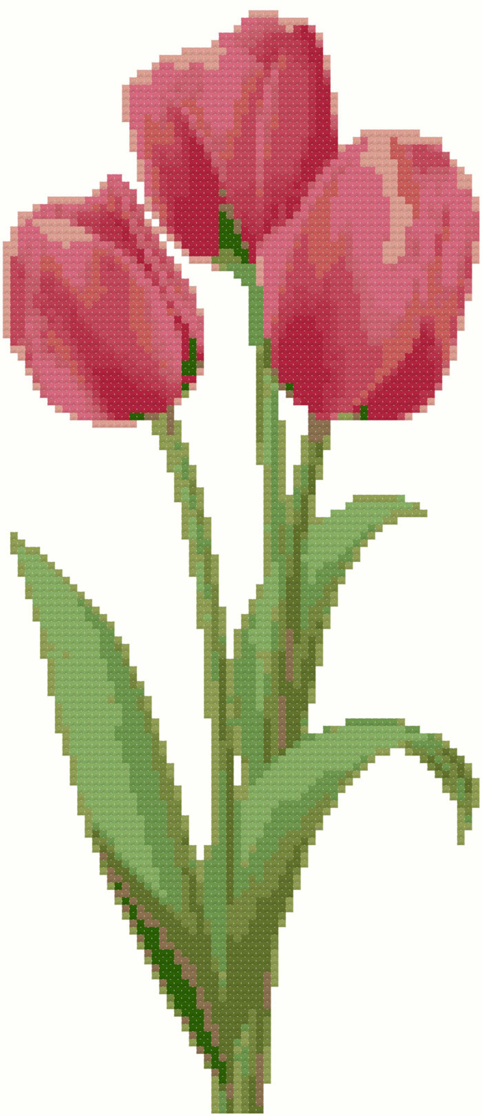Set of Tulip Flowers Cross Stitch Pattern Nature Modern - Etsy