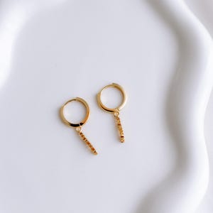 May include: A pair of gold hoop earrings with a dangling chain of small gold beads.