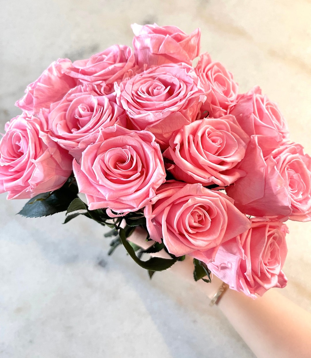 Real Pink Preserved Roses and Stems Single One Year Valentine's Day ...