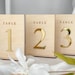 see more listings in the Wedding Table Numbers section