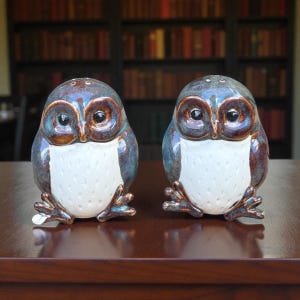 May include: A pair of ceramic owl-shaped salt and pepper shakers. The owls have a glossy finish with a color palette of blue, brown, and white. The shakers have a white chest and small feet. The background is a dark wooden surface.