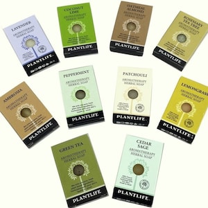 Sampler Vegan Soap Bar - Hotel Travel Size - Made in USA - 1 oz - 1 Bar