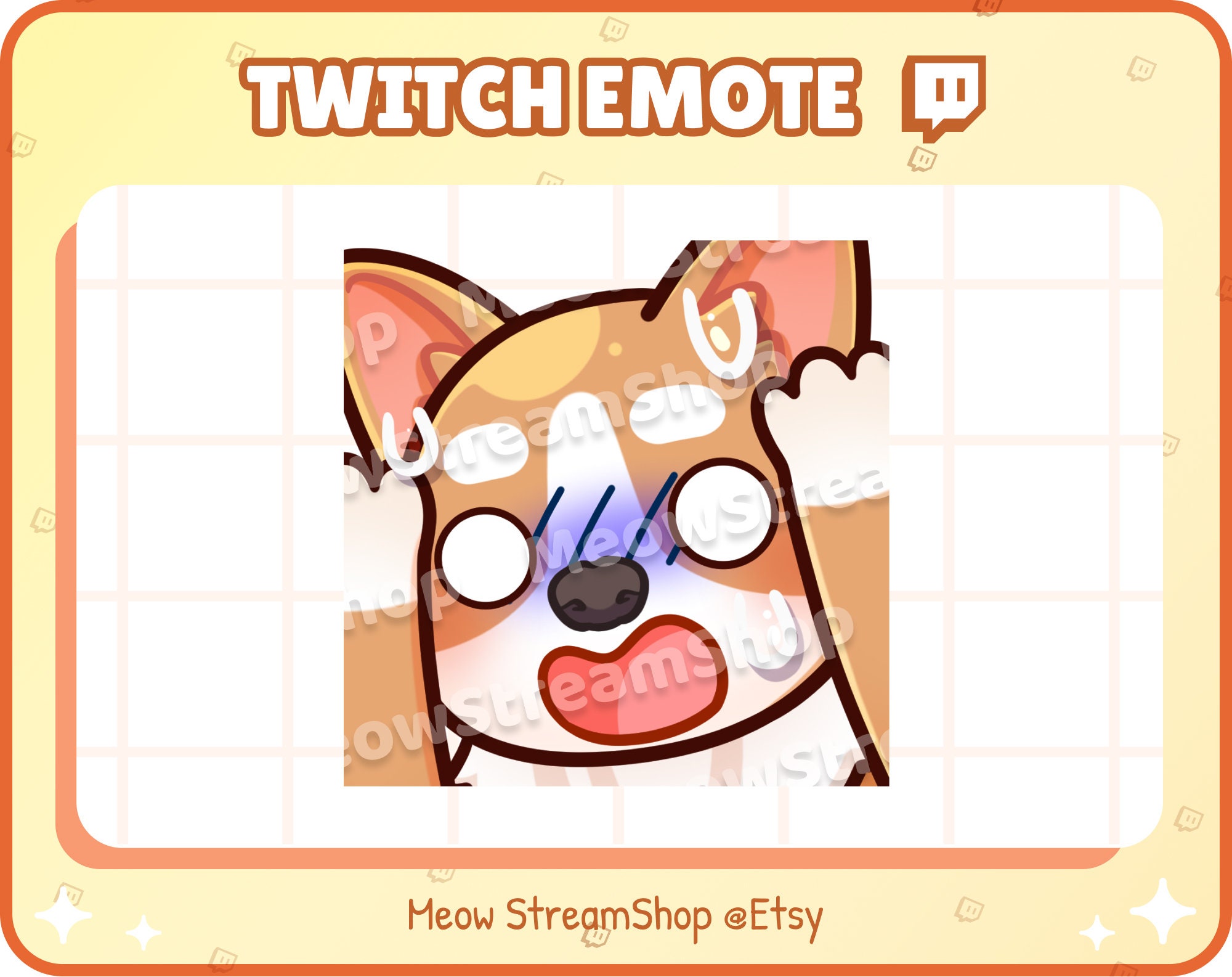 Twitch Emote / Cute Raccoon Awkward Look Panic Meme Sus 