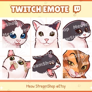 Twitch Emote / Cute Meme Cat Emotes Pack #3 (jeje, alienígena, melvin, pánico, grito, la roca) / Kawaii Meme Catto Feline Kitten Kitty Sub Emoji