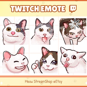 Twitch Emote / Cute Meme Cat Emotes Pack #2 (educado, shock, buffering, sonrisa, pulgar, tos) / Kawaii Meme Catto Feline Kitten Kitty Sub Emoji