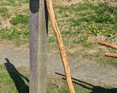 Medium Pleiadian Symbol Walking Stick