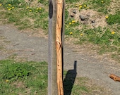 Large Pleiadian Symbol Walking Stick