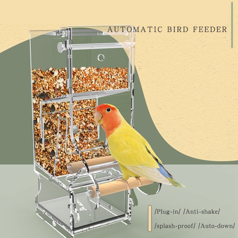 Acheter Mangeoire pour oiseaux fenêtre perroquet distributeur de nourriture  boîte d'alimentation pour oiseaux mangeoires pour oiseaux en plein air  maison acrylique étanche