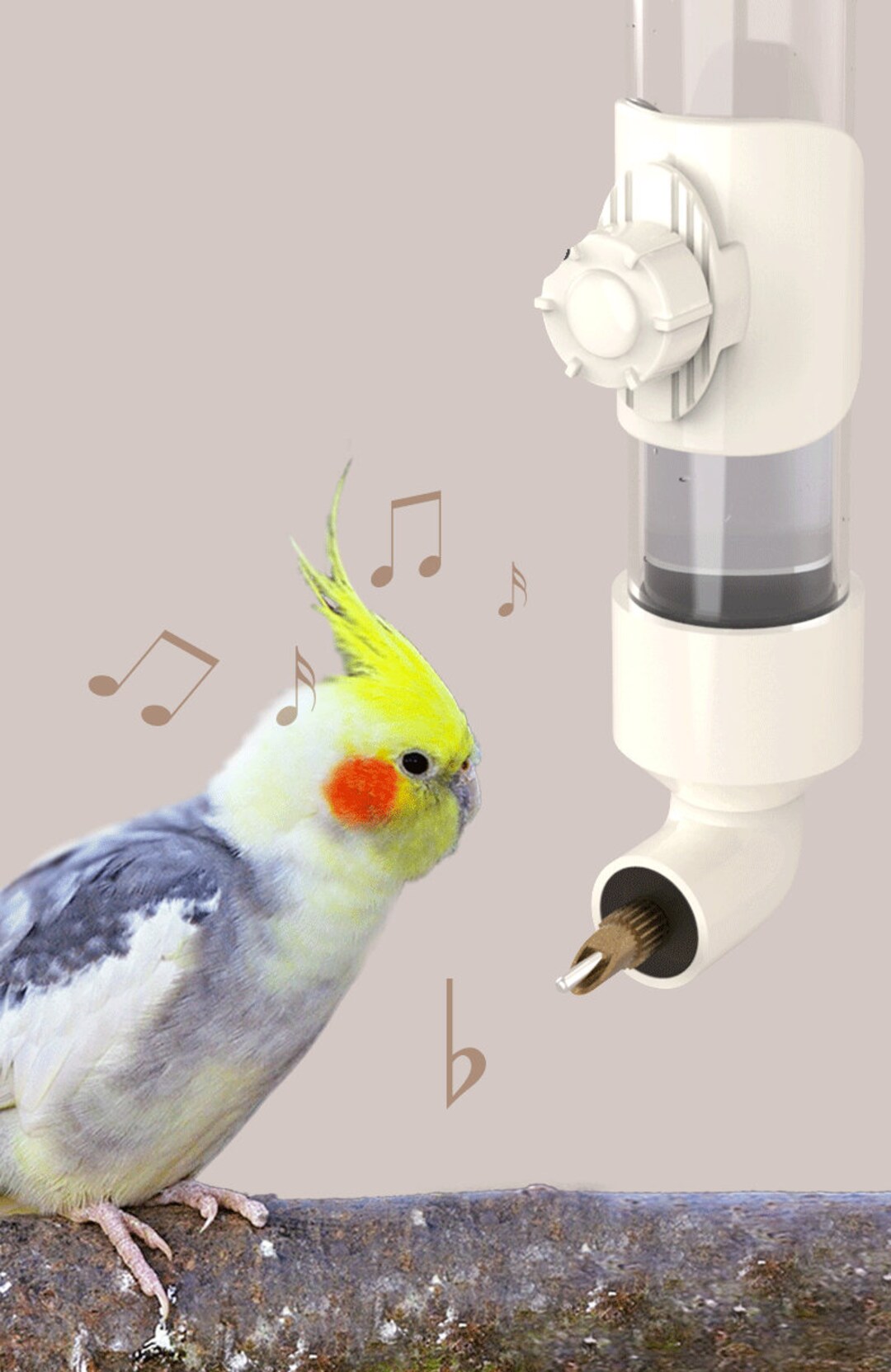 Bird Water Dispenser Birds Drink Water Parrot Striking Needle Etsy
