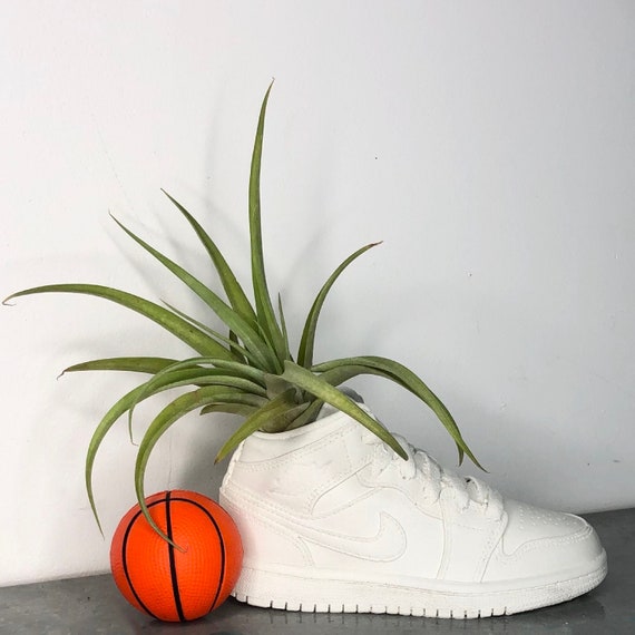 aj1 planter