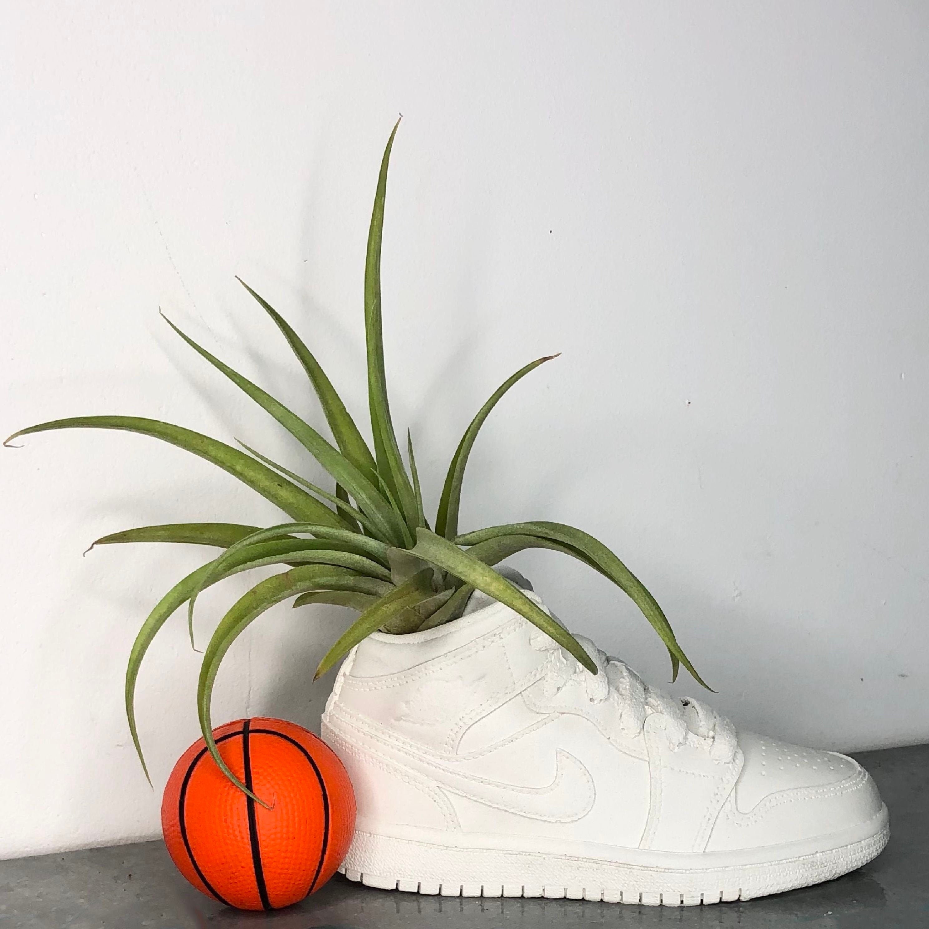 Air Jordan 1 Sneaker Plant Pot / Shoe Planter Etsy New Zealand
