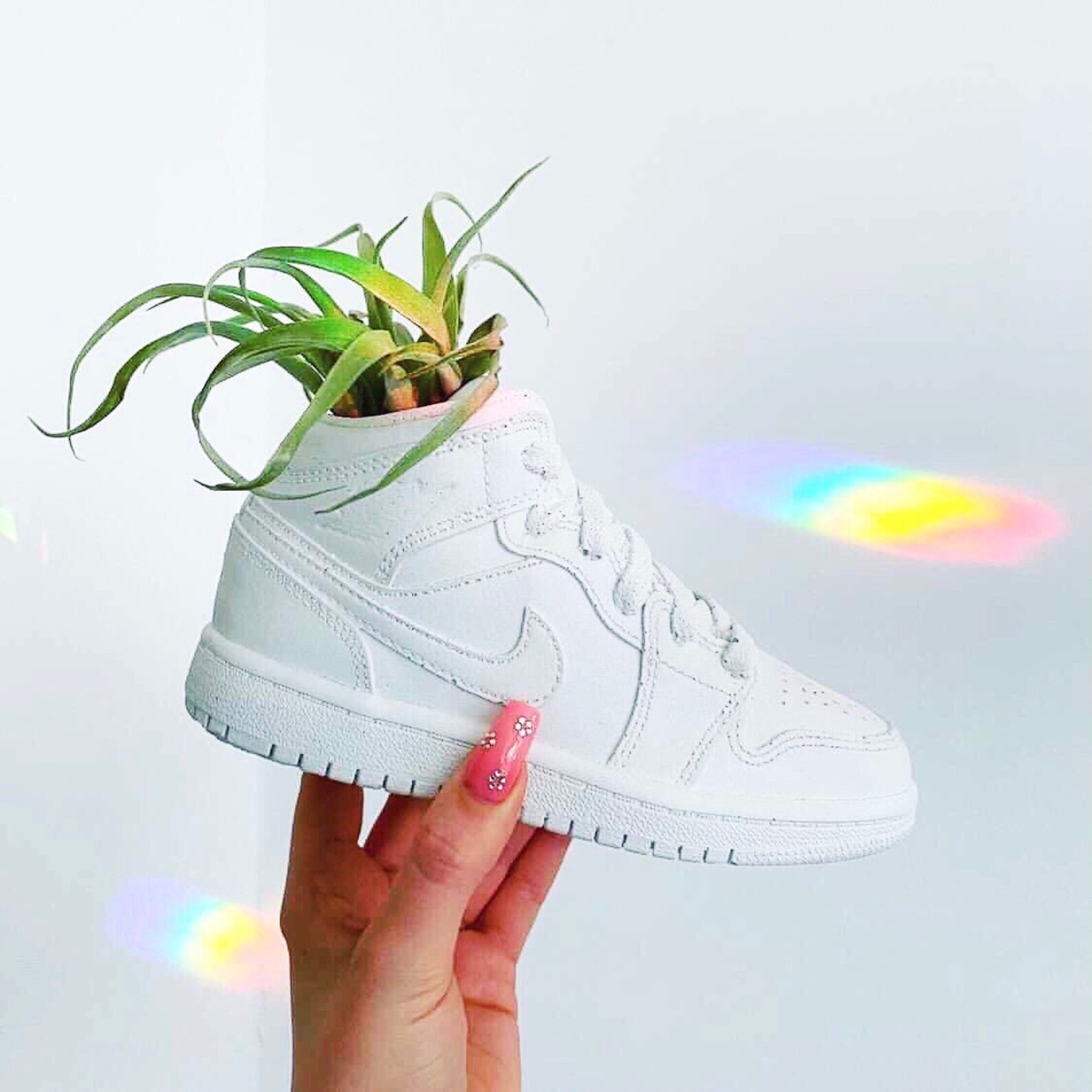 Air Jordan 1 Sneaker Plant Pot / Shoe Planter Etsy New Zealand