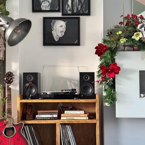 The Revolution - Rustic Pine Vinyl Record and Turntable storage unit image 6