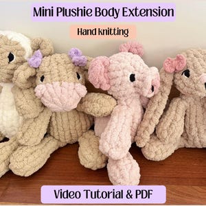 MINI Plushie Body EXTENSION / Video Tutorial / Finger Knit / Hand Knit / Cozy Cloud Knits - *Please Read the Description