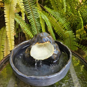 May include: A small, ceramic water fountain with a dark blue bowl and a central rock formation. Water gently cascades from a cream-colored, shell-shaped element into the bowl. Lush green ferns provide a natural backdrop.