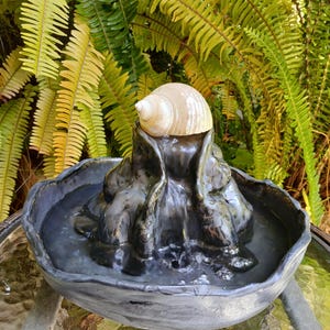 May include: A ceramic fountain with a seashell on top. The fountain has a dark, textured base and a bowl filled with water. Lush green ferns provide a natural backdrop. The seashell is a light beige color.