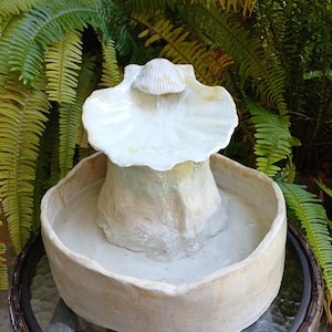 May include: A small, decorative water fountain with a seashell-shaped top. The fountain is made of light-colored ceramic and sits in a round basin. Water flows from the top shell into the basin. The background features green ferns.