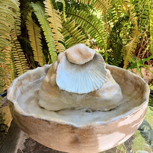 May include: A ceramic water fountain featuring a wide, round, beige basin with an uneven, wavy rim. In the center, a sculpted, light-colored rock formation is topped with a large, pale, fan-shaped seashell that acts as a water spout.