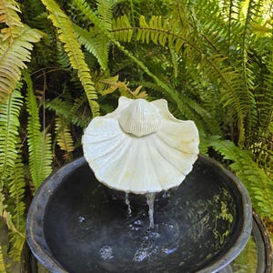 Large Iridescent Shell Tabletop Fountain