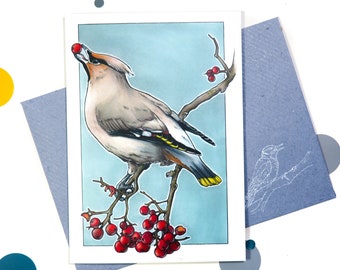 Illustrated Waxwing greeting card | Folded postcard with a bird drawing