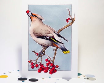 Waxwing Bird Art Print from a handdrawn Illustration | Bird Drawing | Wall Art | Home Decoration