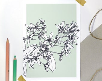 Botanical Art Print A5 | botanische kunstkaart met bloesem