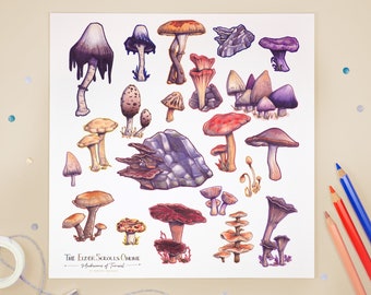 Mushrooms of Tamriel Art Print | Illustrated fantasy mushrooms on a sturdy square print