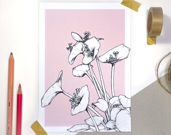 Pink Botanical Art Print A5 | Botanische lijntekening