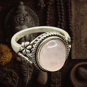 Lakshmi's Grace: Your Vessel of Abundance and Prosperity!