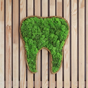 Dental wall art, Dental wall decor, Tooth wall decor, Dental office decor, Wall moss art, Orthodontist decor