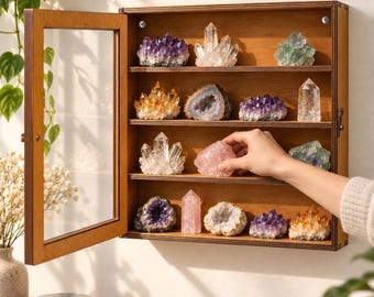 Mineral Display Case, Gemstone Collection Organizer, Display Cabinet with Glass Door