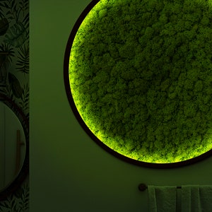 特大の苔壁アート、天然乾燥苔壁アート、壁苔装飾、LED付き苔壁アート装飾、美しく保存された苔壁アート