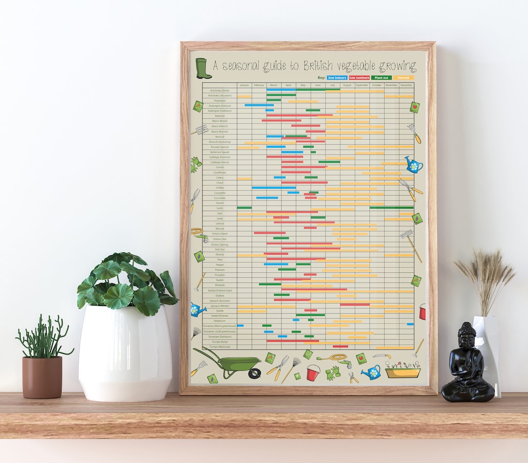 British Vegetable Garden Planner: Seasonal Planting Calendar A3 Poster ...