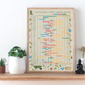 Planting and Harvesting British Vegetable Calendar - A3 poster / British Vegetable Garden Planner / Allotment Seasonal Planner