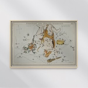 天文図イラスト ヘラクレス座 シドニー ホール #8 天文プリント、ベージュ、ゴールド、星座プリント、占星術ポスター