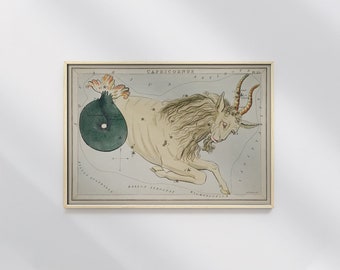 Schaubild Illustration Capricornus Sidney Hall #10 Sternbild Illustration, Beige, Petrol, Konstellationsdruck, Astrologie Poster