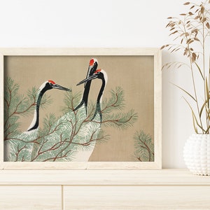 Japanese Print Cranes by Kamisaka Sekka #244 Retro Prints, Beige, Khaki, Retro Japanese Art, Antique Drawing Art, Poster Aesthetic