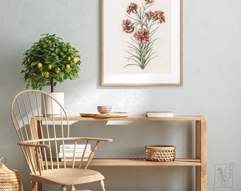 Ilustración de seis claveles de Johan Teyler n.° 353 Impresiones retro, Rojo, Verde, Arte de reproducción, Botánico retro, Impresión de plantas