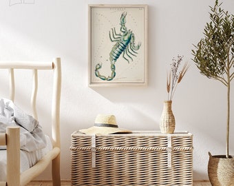 Astronomical Chart Illustration Scorpio Zodiac Sidney Hall #27 Astronomical Poster, Beige, Green, Constellation Print, Astrology Poster