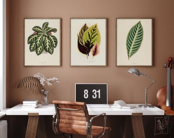 Estudio de carteles de hojas minimalistas n.º 4, conjunto de 3 impresiones, beige, verde, conjunto de carteles retro, reproducción de arte, impresión de bellas artes
