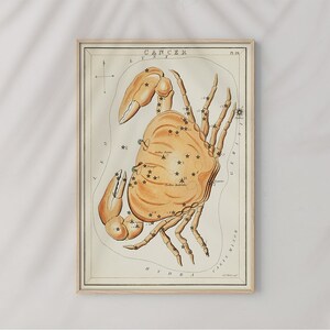 天文図イラスト 星座 蟹座 シドニー ホール #28 天文プリント、ベージュ、淡いオレンジ、星座プリント、占星術ポスター