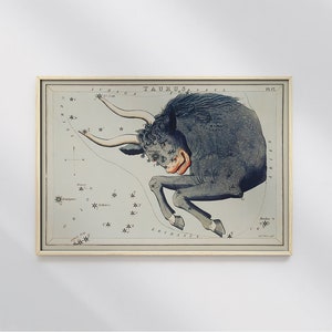 天文チャートイラスト 牡牛座 シドニー ホール #2 天文プリント、ベージュ、黒、星座プリント、占星術ポスター
