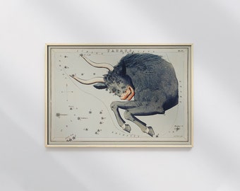 Astronomical Chart Illustration Taurus Zodiac Sidney Hall #2 Astronomical Print, Beige, Black, Constellation Print, Astrology Poster