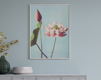 Impresiones de flores de loto de Ogawa Kazumasa n.° 181, póster retro, azul, rosa, estampado floral retro, arte japonés retro, póster de bellas artes
