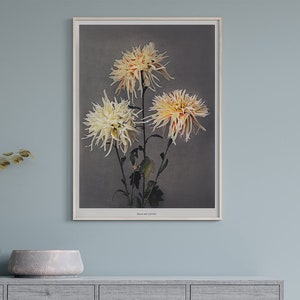 Japanese Collotype by Kazumasa Ogawa #190 Retro Prints, Beige, White, Retro Floral Print, Retro Japanese Art, Fine Art Poster