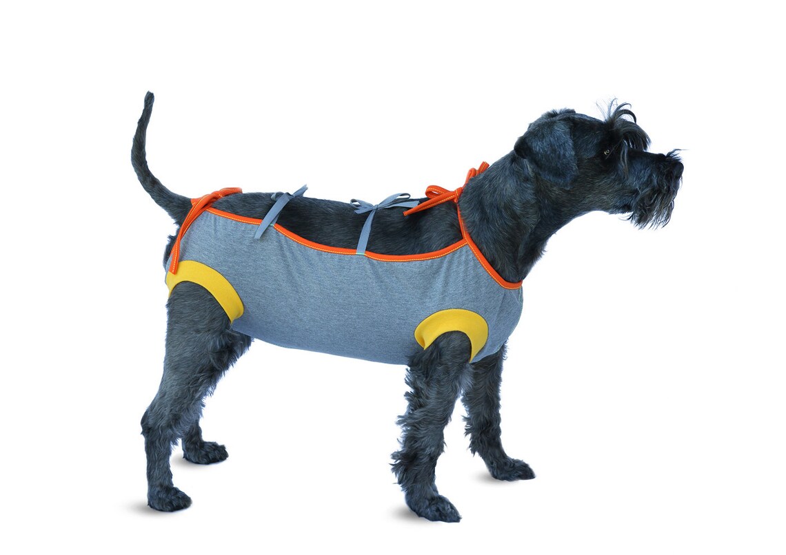 Cotton Recovery suit for dog long and short sleeve Pet Etsy
