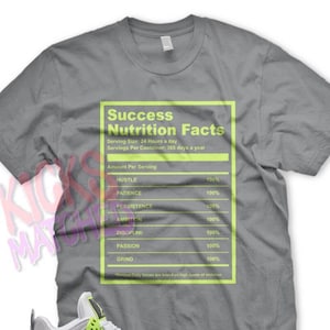 Grey " SUCCESS FACTS " T Shirt to match Jordan 4 Neon Volt Patch Work Air Max 95 90 by Kicks Matched